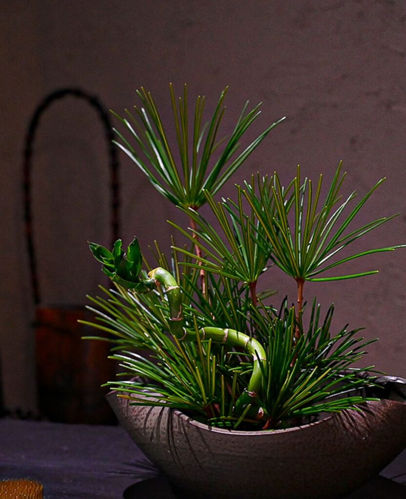 五感が悦ぶ空間