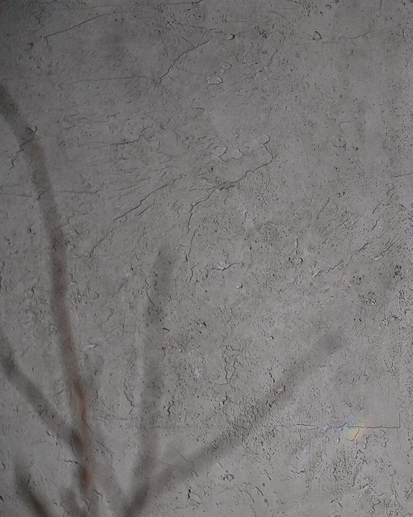 まるで美術館のような空間