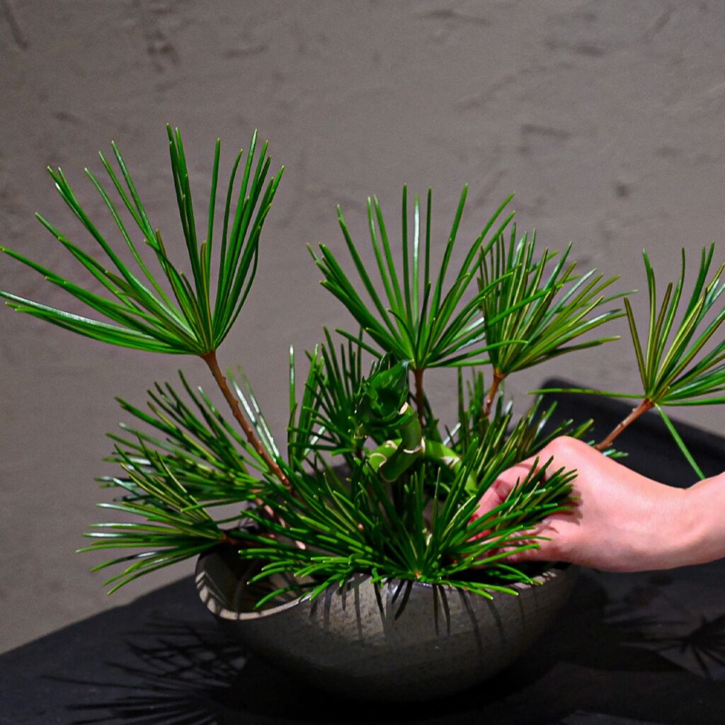 自分の美学を磨く