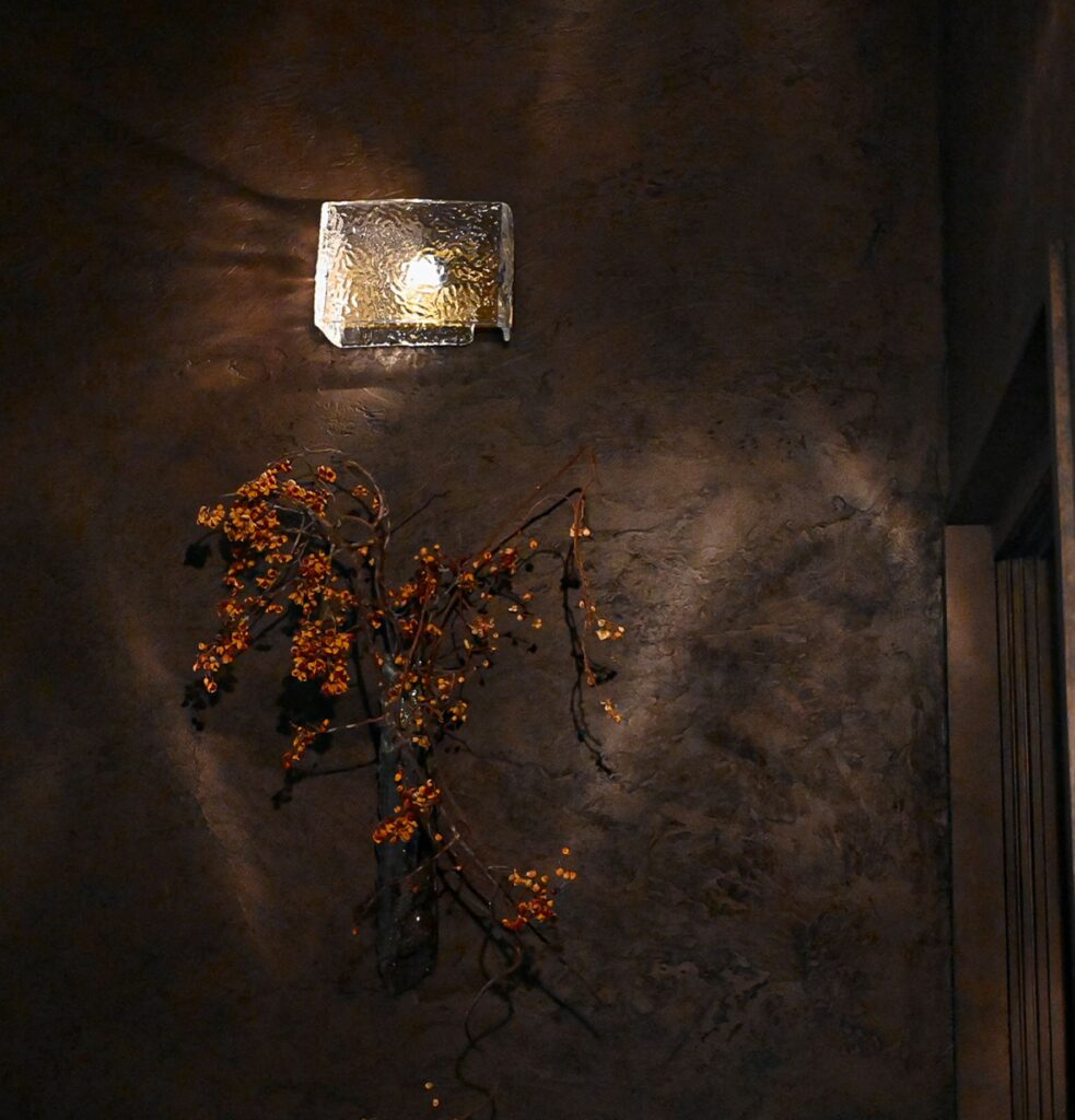 壁面照明と植物